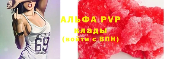 прущие грибы Волосово