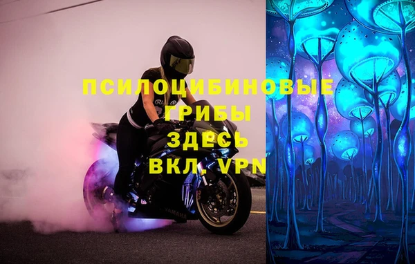 первитин Володарск
