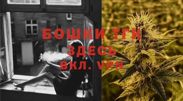 прущие грибы Волосово