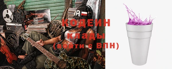 прущие грибы Волосово