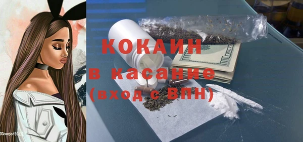 прущие грибы Волосово